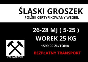 Ogłoszenia Rzeszów - pw katowice 3