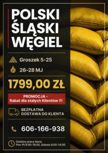 Ogłoszenia Rzeszów - polski slaski wegiel 7